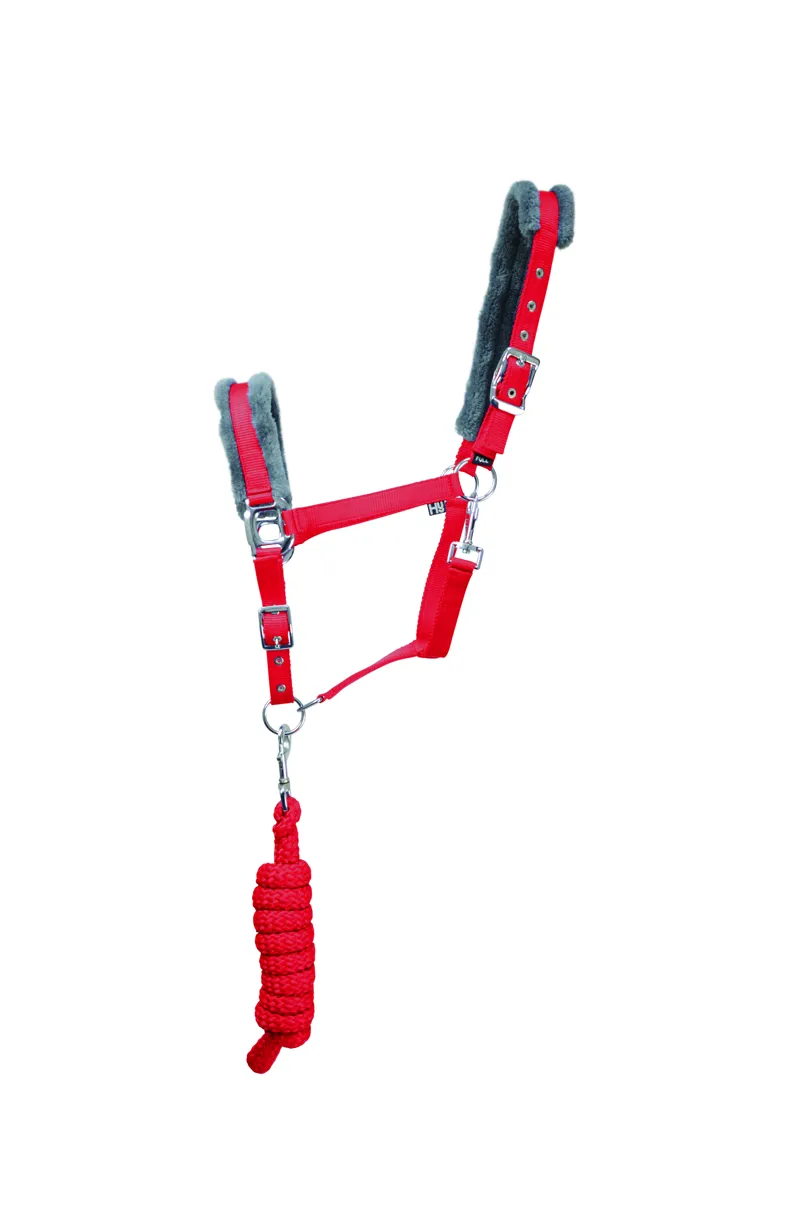 Hy Sport Active Head Collar and Lead Rope - Rosette Red